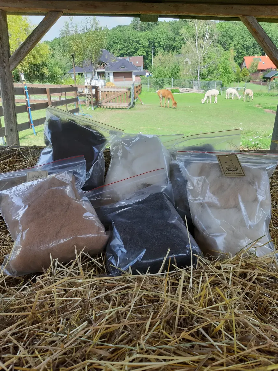 Wełna gręplowana
