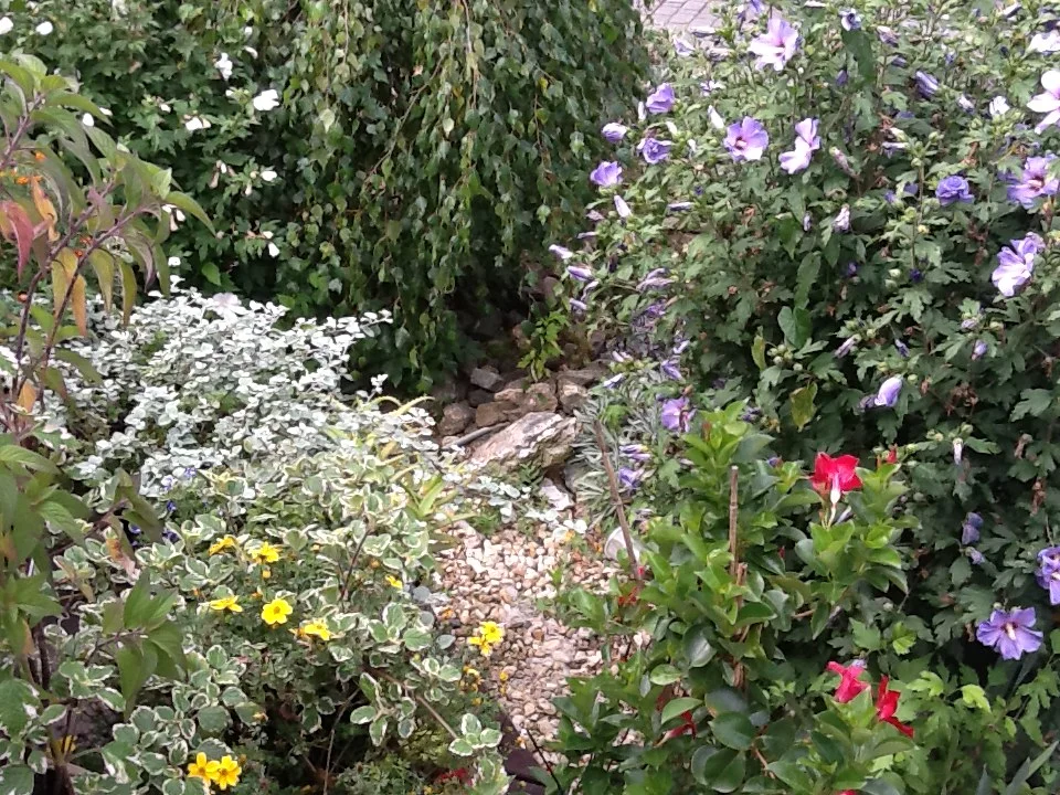 HORTICULTURAL THERAPY