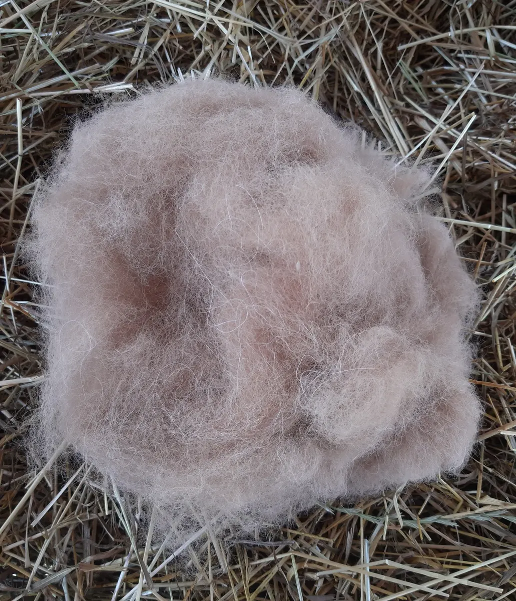 Wełna gręplowana