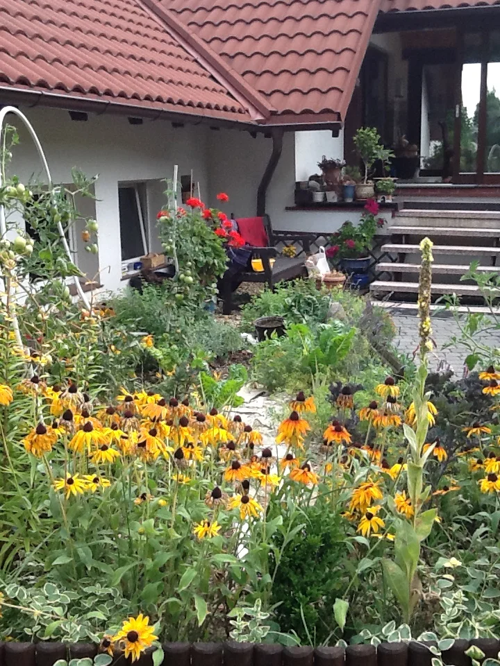 HORTICULTURAL THERAPY