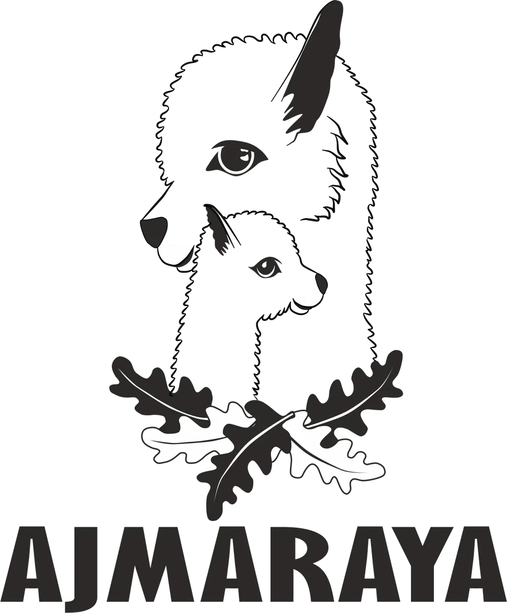 Chov alpak Ajmaraya