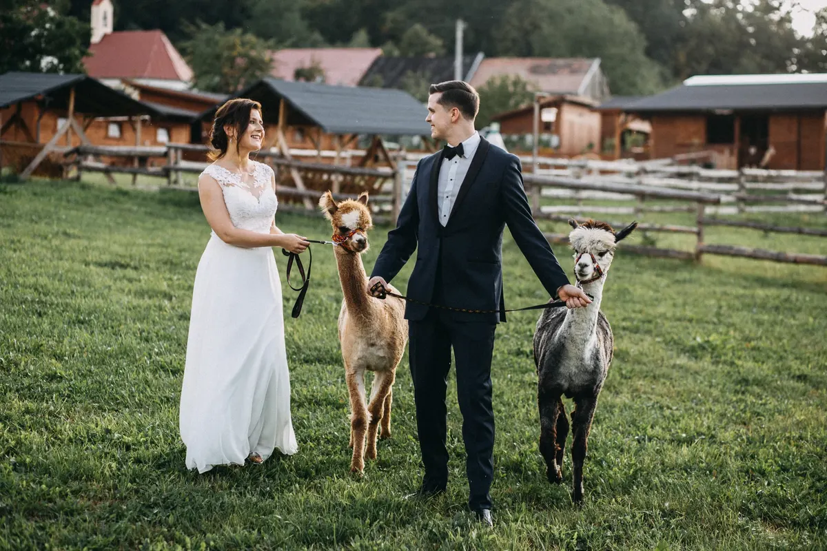 Fotogalerie ranče a našich svěřenců