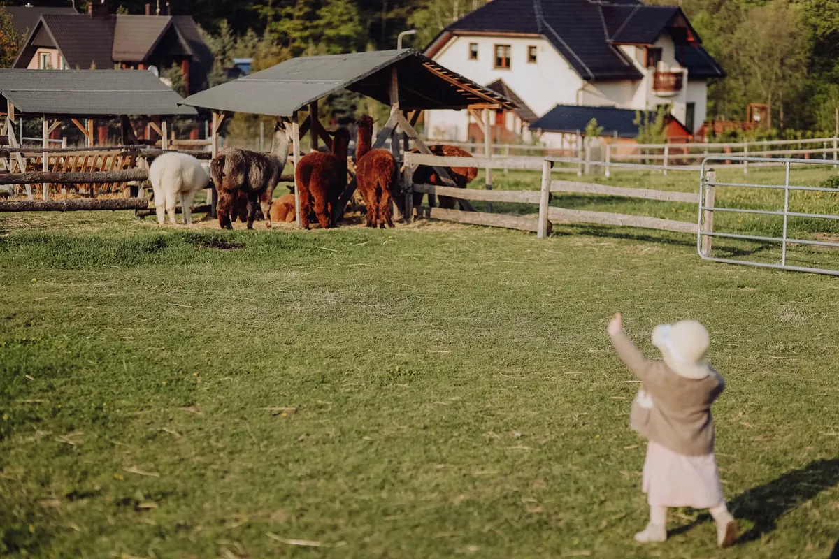 Fotogalerie ranče a našich svěřenců