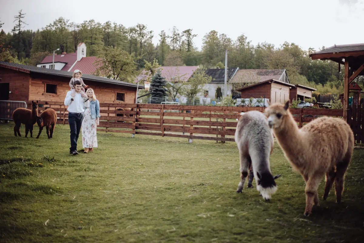 Fotogalerie ranče a našich svěřenců
